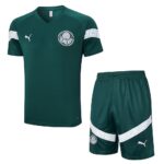 Mens Palmeiras 2023/24 Training Jersey+Short 815