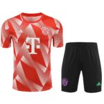 Mens Bayern Munich 2023/24 Training Jersey+Short 418