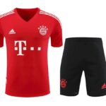 Mens Bayern Munich 2023/24 Training Jersey+Short 418