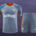 Mens Inter Milan 2023/24 Training Jersey+Short 418