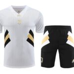 Mens Inter Milan 2023/24 Training Jersey+Short 418