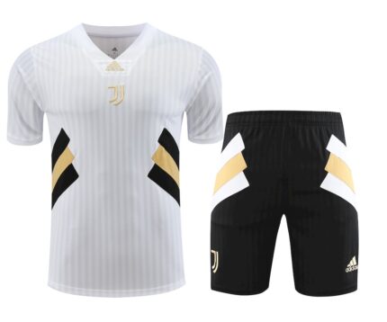 Mens Inter Milan 2023/24 Training Jersey+Short 418