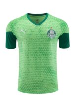 Mens Palmeiras 2024/25 Training Jersey+Short 418 - Image 4