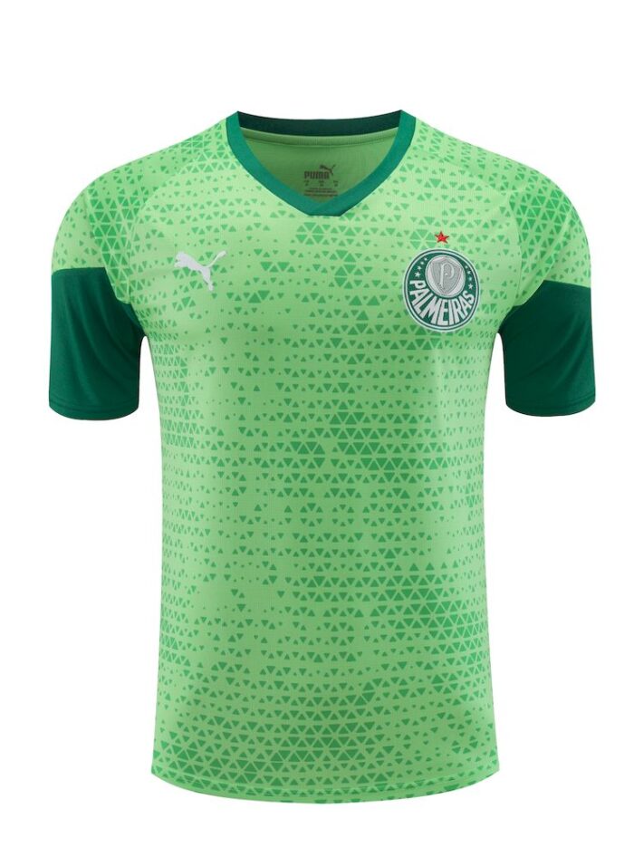 Mens Palmeiras 2024/25 Training Jersey+Short 418 - Image 4