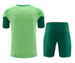 Mens Palmeiras 2024/25 Training Jersey+Short 418 - Image 2