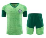 Mens Palmeiras 2024/25 Training Jersey+Short 418