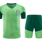 Mens Palmeiras 2024/25 Training Jersey+Short 418