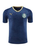 Mens Palmeiras 2024/25 Training Jersey+Short 418 - Image 4