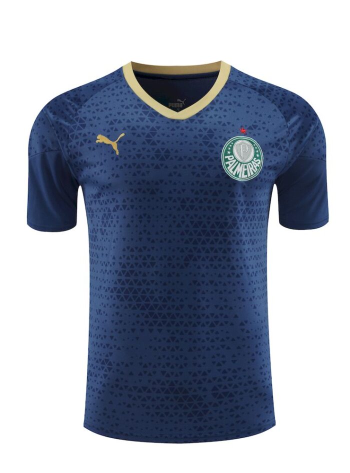Mens Palmeiras 2024/25 Training Jersey+Short 418 - Image 4