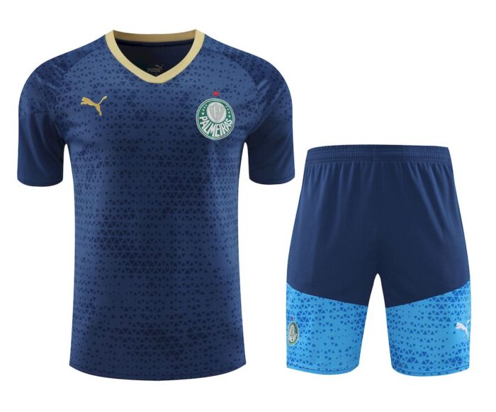 Mens Palmeiras 2024/25 Training Jersey+Short 418 - Image 3