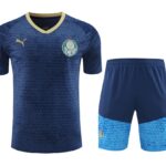 Mens Palmeiras 2024/25 Training Jersey+Short 418