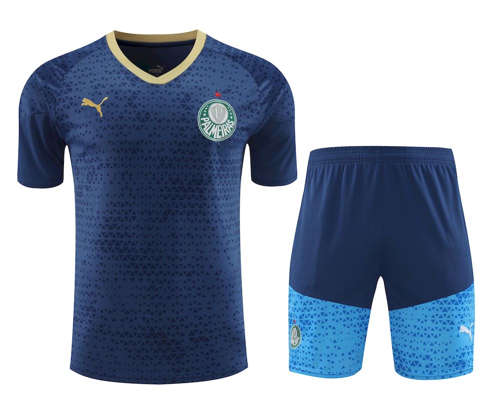 Mens Palmeiras 2024/25 Training Jersey+Short 418 - Image 1