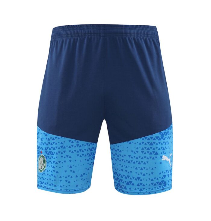 Mens Palmeiras 2024/25 Training Jersey+Short 418 - Image 5