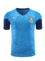 Mens Palmeiras 2024/25 Training Jersey+Short 418 - Image 4