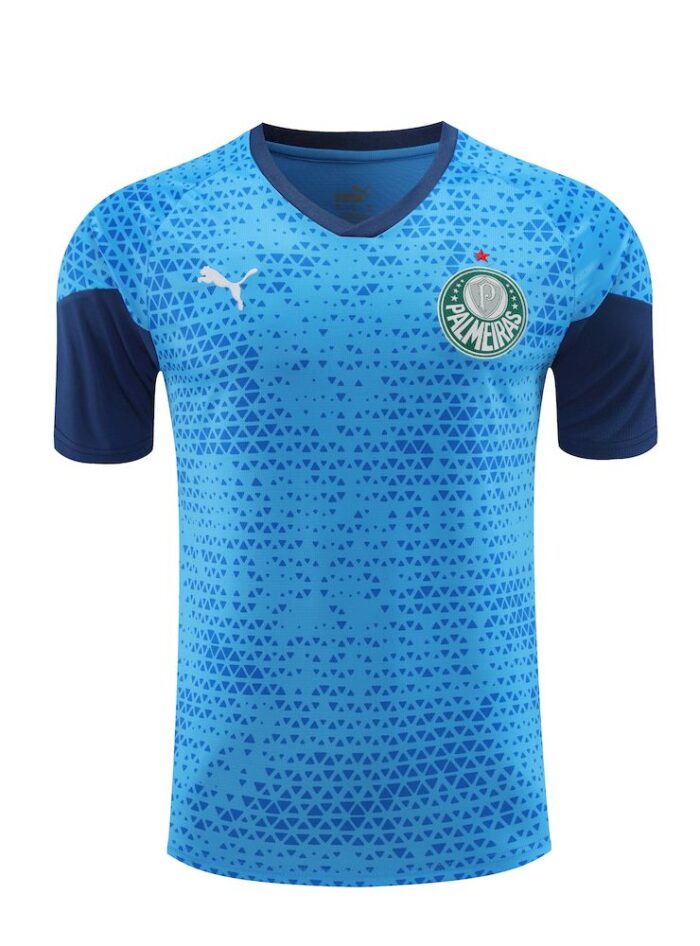 Mens Palmeiras 2024/25 Training Jersey+Short 418 - Image 4
