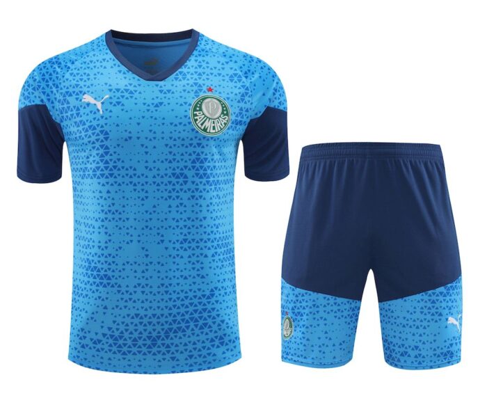 Mens Palmeiras 2024/25 Training Jersey+Short 418 - Image 3