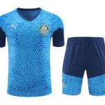 Mens Palmeiras 2024/25 Training Jersey+Short 418