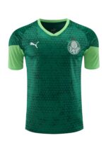 Mens Palmeiras 2024/25 Training Jersey+Short 418 - Image 5