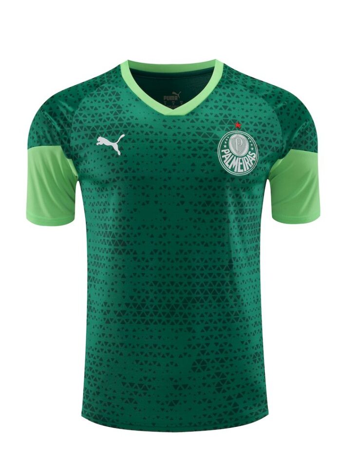 Mens Palmeiras 2024/25 Training Jersey+Short 418 - Image 5