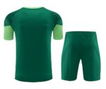Mens Palmeiras 2024/25 Training Jersey+Short 418 - Image 2