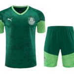 Mens Palmeiras 2024/25 Training Jersey+Short 418