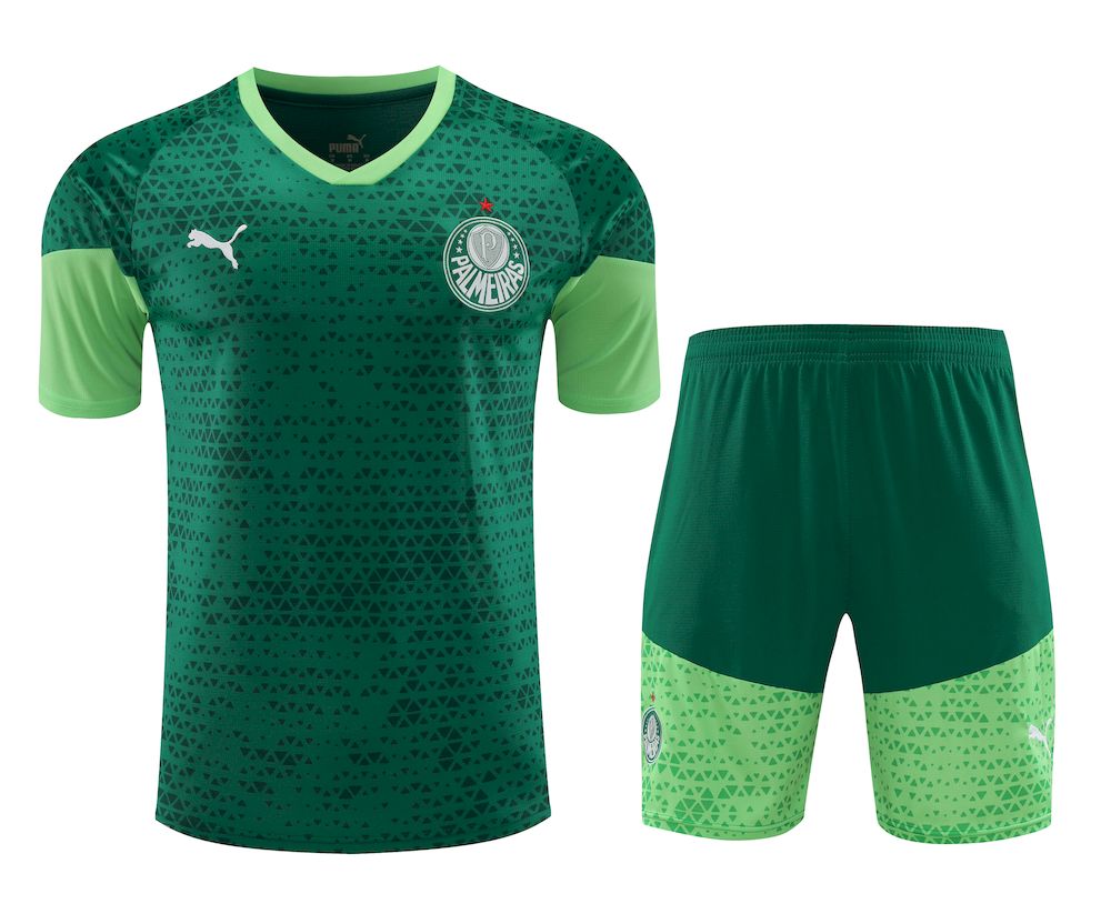 Mens Palmeiras 2024/25 Training Jersey+Short 418 - Image 1