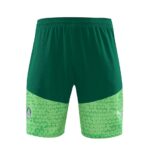 Mens Palmeiras 2024/25 Training Jersey+Short 418 - Image 3