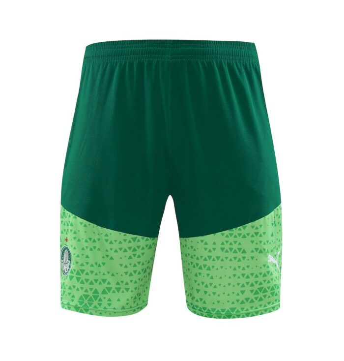 Mens Palmeiras 2024/25 Training Jersey+Short 418 - Image 3