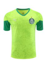 Mens Palmeiras 2024/25 Training Jersey+Short 418 - Image 5