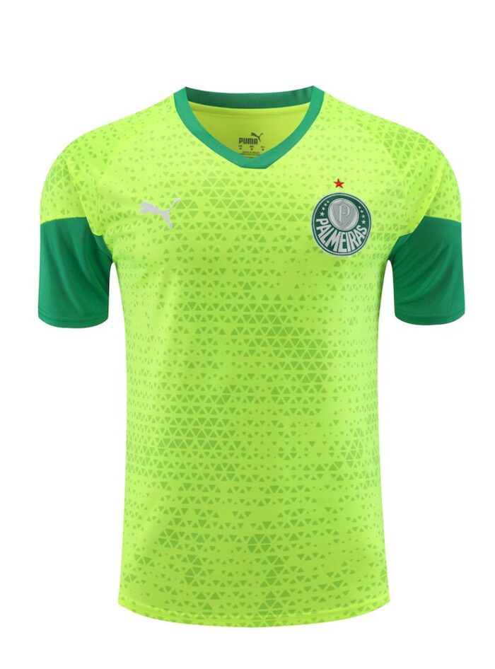 Mens Palmeiras 2024/25 Training Jersey+Short 418 - Image 5