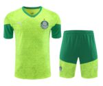 Mens Palmeiras 2024/25 Training Jersey+Short 418
