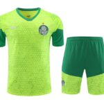 Mens Palmeiras 2024/25 Training Jersey+Short 418