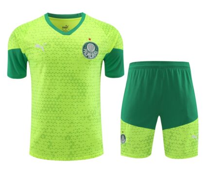 Mens Palmeiras 2024/25 Training Jersey+Short 418