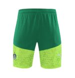 Mens Palmeiras 2024/25 Training Jersey+Short 418 - Image 3
