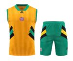 Mens Bayern Munich 2023/24 Tank Top+Short 418