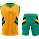 Mens Bayern Munich 2023/24 Tank Top+Short 418