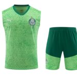 Mens Palmeiras 2024/25 Tank Top+Short 418
