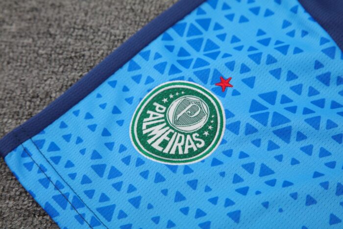 Mens Palmeiras 2024/25 Tank Top+Short 418 - Image 5