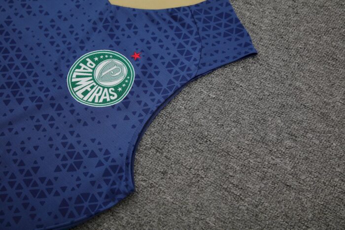 Mens Palmeiras 2024/25 Tank Top+Short 418 - Image 3