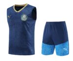 Mens Palmeiras 2024/25 Tank Top+Short 418