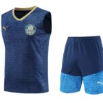 Mens Palmeiras 2024/25 Tank Top+Short 418