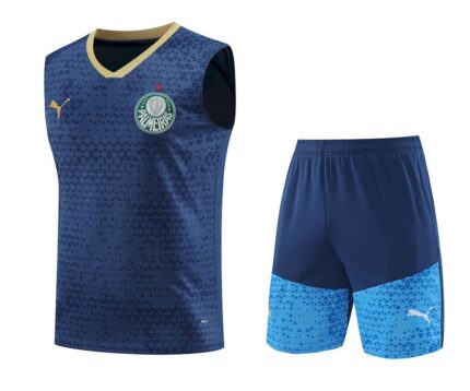 Mens Palmeiras 2024/25 Tank Top+Short 418
