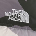 Mens TNF X KAWS Retro 1996 Nuptse Grey Jacket - Image 4