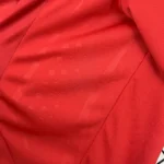 Retro Liverpool 2008/10 Home Champion League Edition Jersey - Image 4