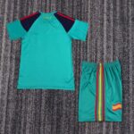 Retro Spain 2010 Goalkeeper Kids Kit - Image 2