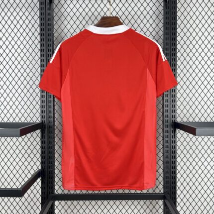 Retro Benfica 2002/03 Home Jersey – view 2