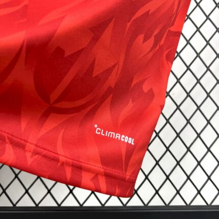 Mens Belgium 2026 World Cup Home Long Sleeve Jersey – view 2