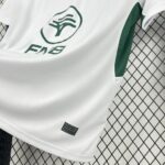 Mens South Africa Springbok 2026 Away Jersey