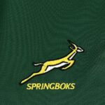 Mens South Africa Springbok 2026 Home Jersey