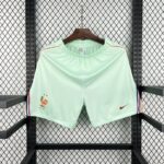 Mens France 2026 World Cup Away Shorts